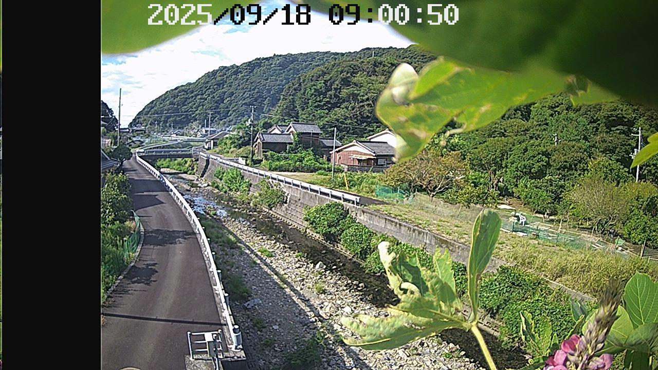 小才角